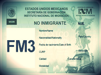 VISA FM3-Importación a Mexico